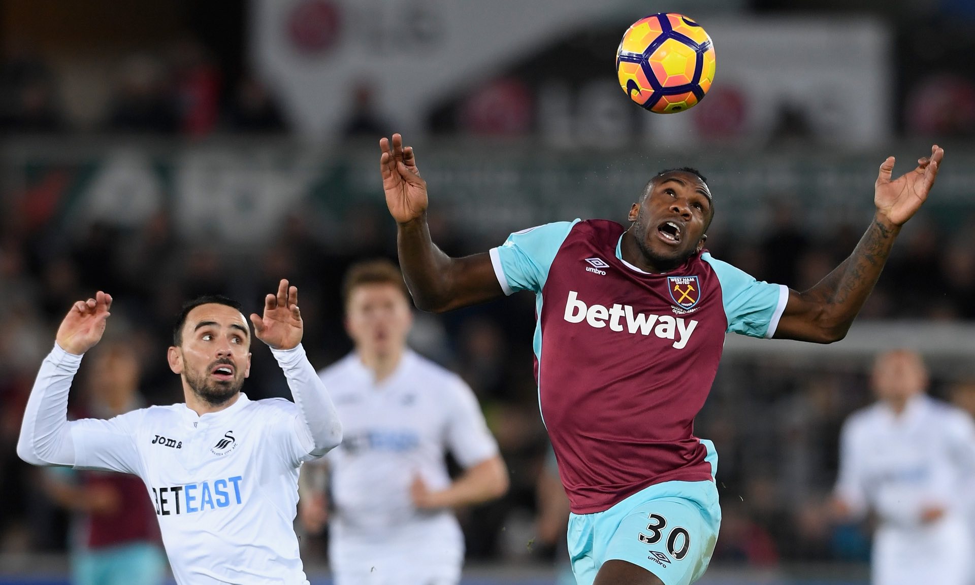 可能填补这 可能填补这